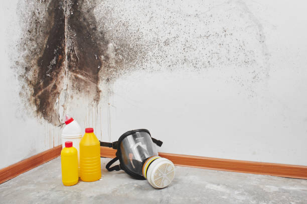 Crawl Space Mold Removal in Gahanna, OH