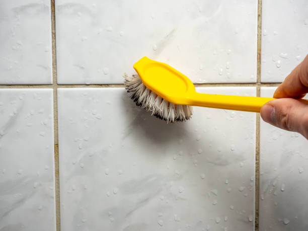 Best Attic Mold Removal  in Gahanna, OH