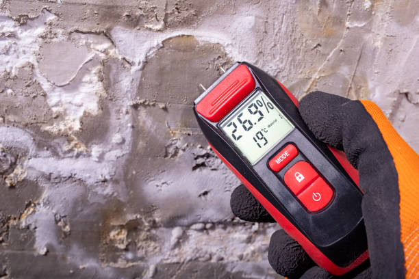 Best Mold Damage Repair  in Gahanna, OH