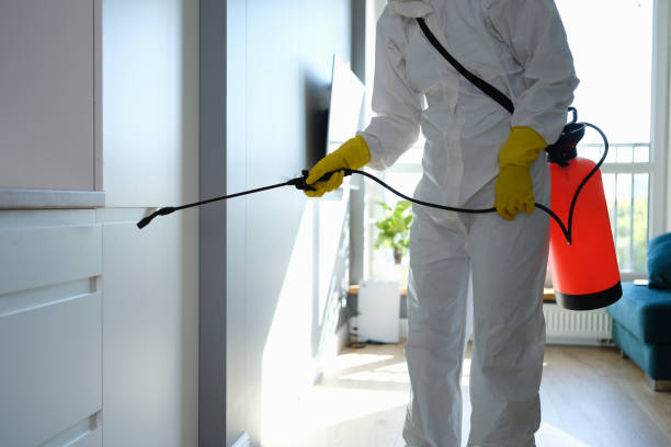 Best Mold Removal Specialists  in Gahanna, OH